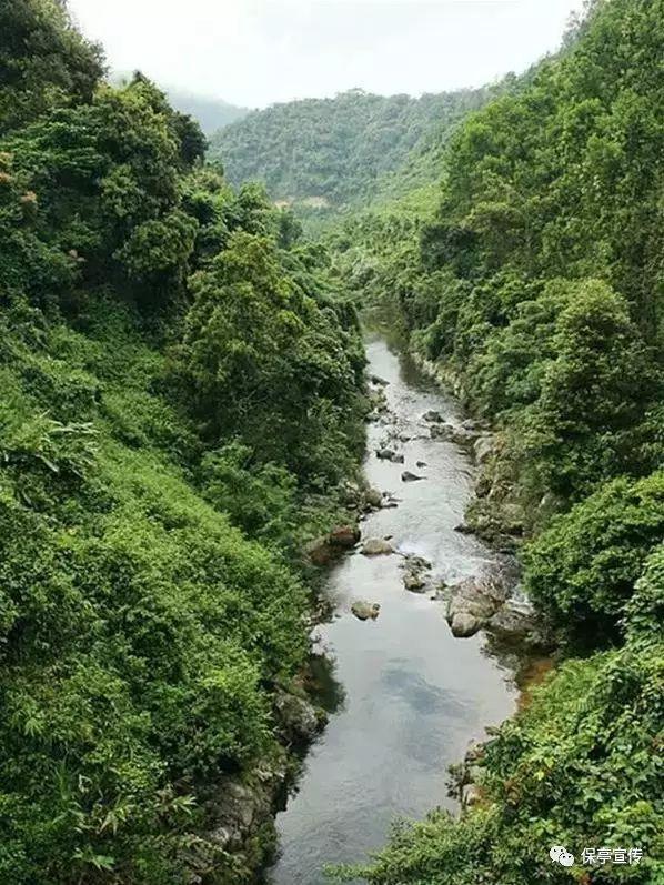 保持大局